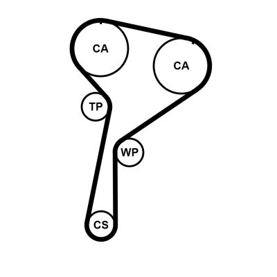 Distributieriem kit incl.waterpomp – CONTINENTAL CTAM – CT1244WP2 online kopen