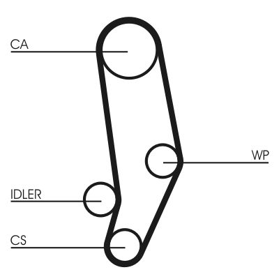 Distributieriem – CONTINENTAL CTAM – CT704