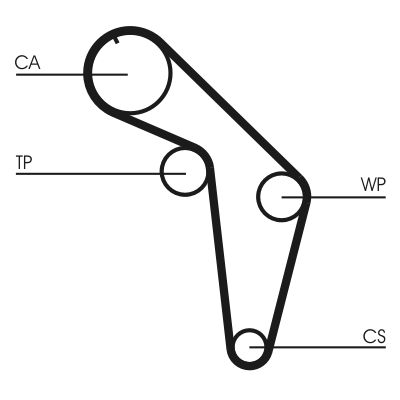 Distributieriem – CONTINENTAL CTAM – CT926