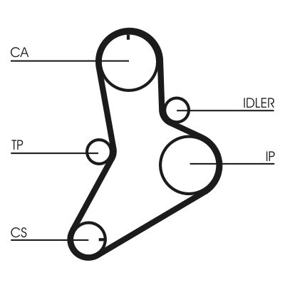 Distributieriem – CONTINENTAL CTAM – CT989 online kopen