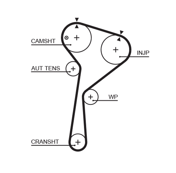 Distributieriem – GATES – 5675XS